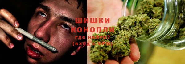 гидра Богородск