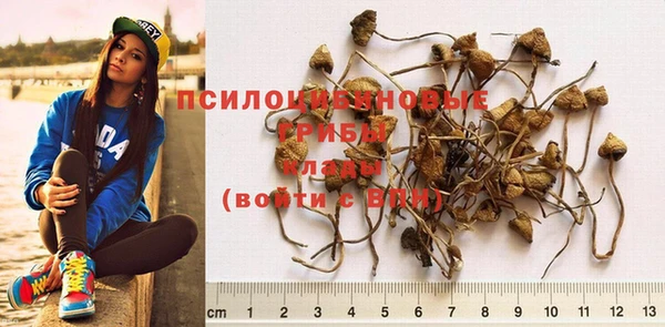 ALPHA PVP Беломорск