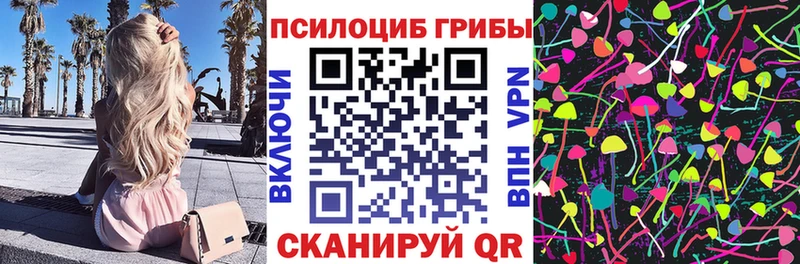 Купить  Медынь  Галлюциногенные грибы Psilocybine cubensis 