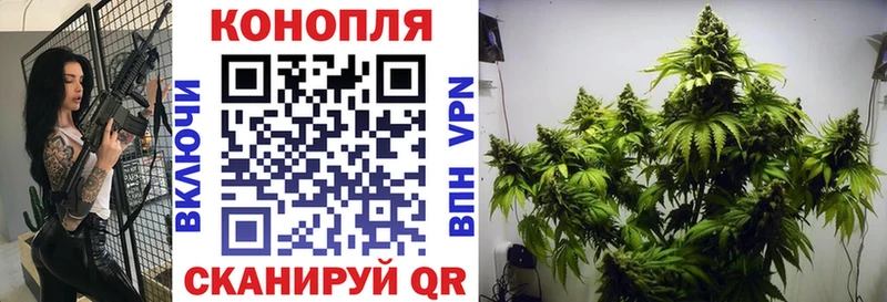 Купить закладки  Медынь  Канабис OG Kush 